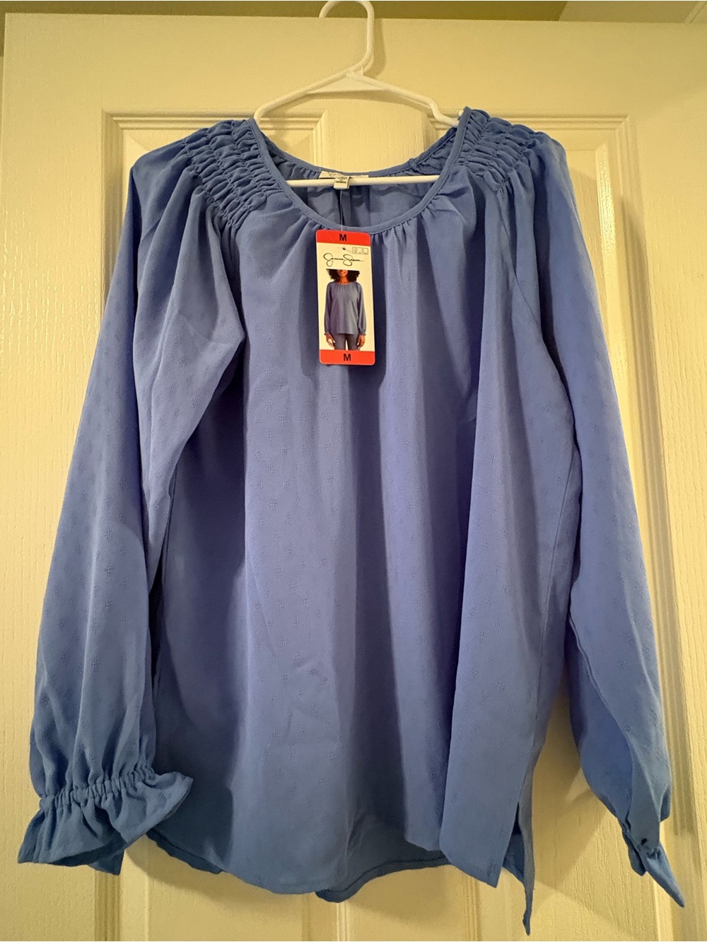 Blue Smocked  Blouse